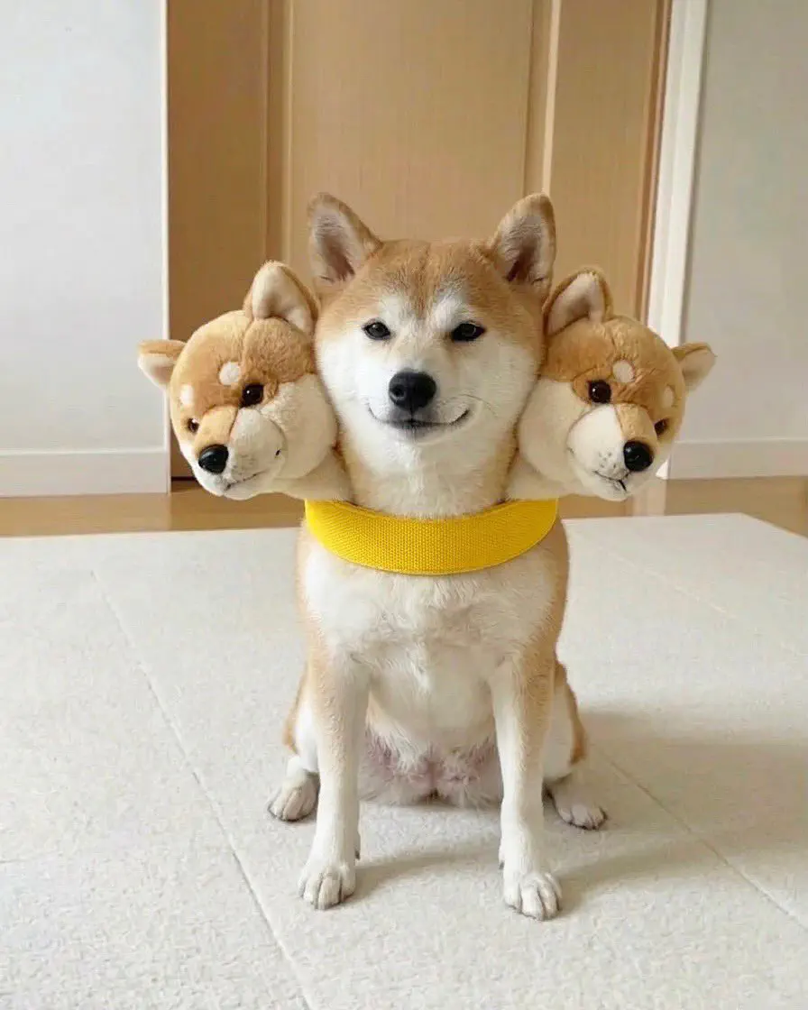 3月11日のトレンド記事