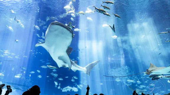 3月12日のトレンド記事