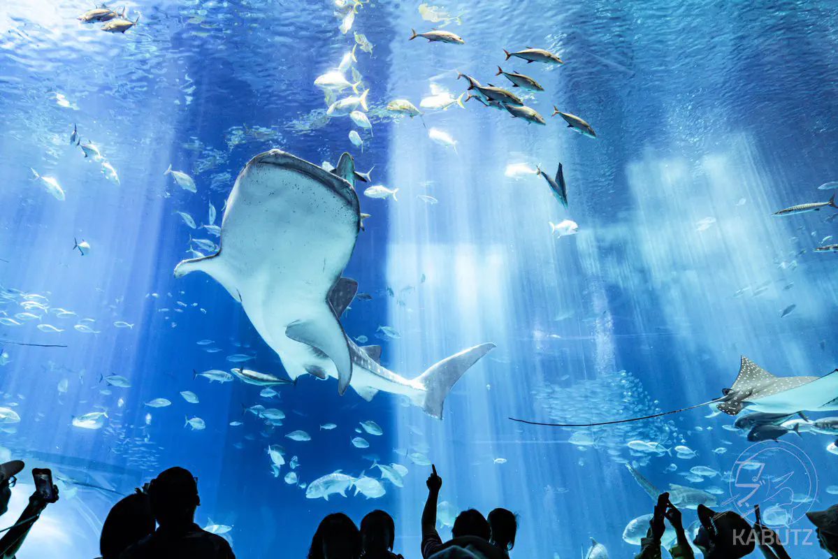 3月12日のトレンド記事