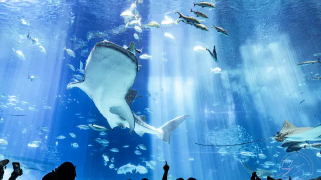 3月12日のトレンド記事