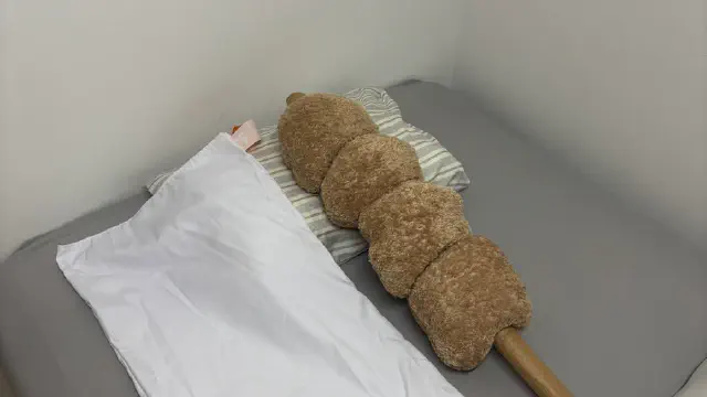 3月14日のトレンド記事