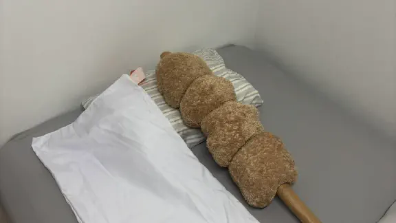 3月14日のトレンド記事