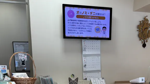 3月16日のトレンド記事