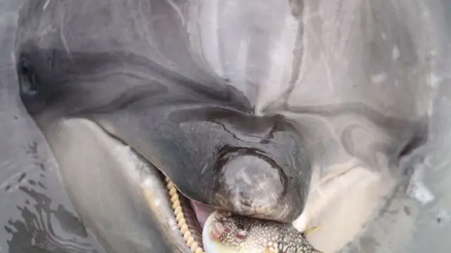 3月16日のトレンド記事