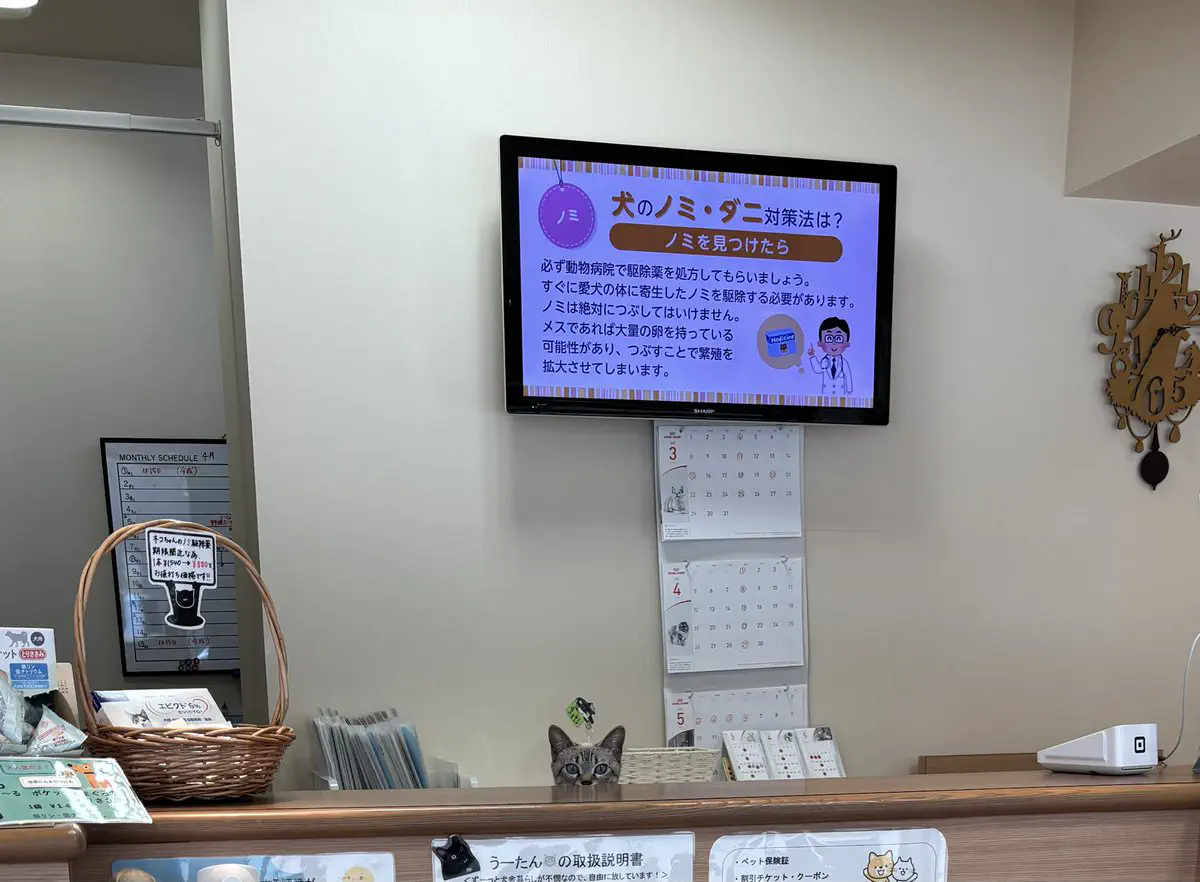 3月16日のトレンド記事