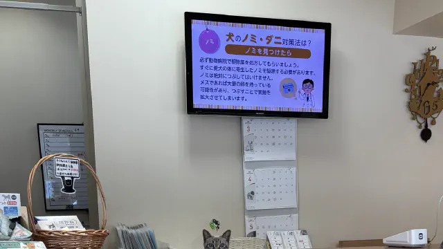 3月16日のトレンド記事