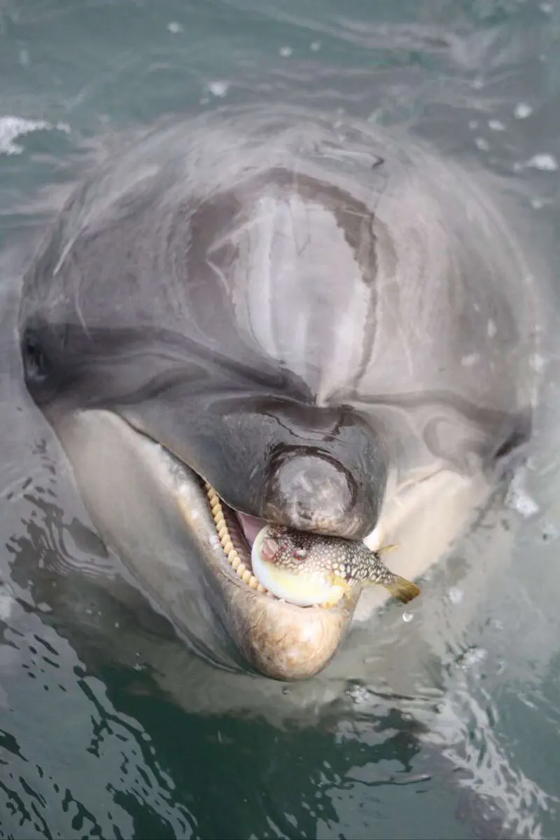 3月16日のトレンド記事