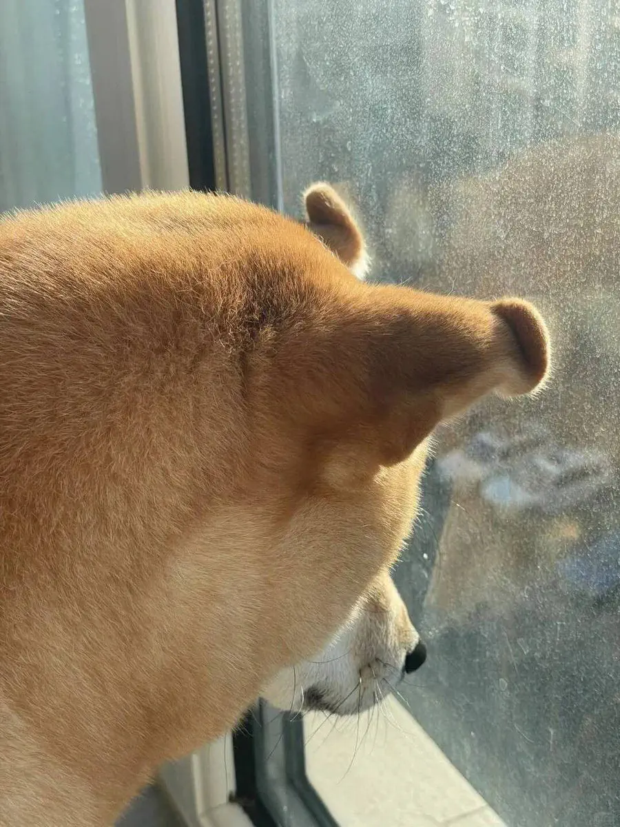 3月22日のトレンド記事