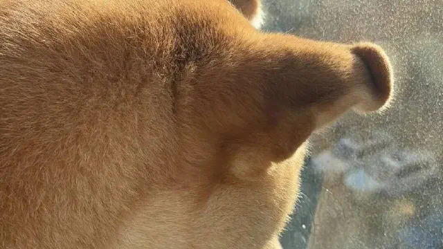 3月22日のトレンド記事