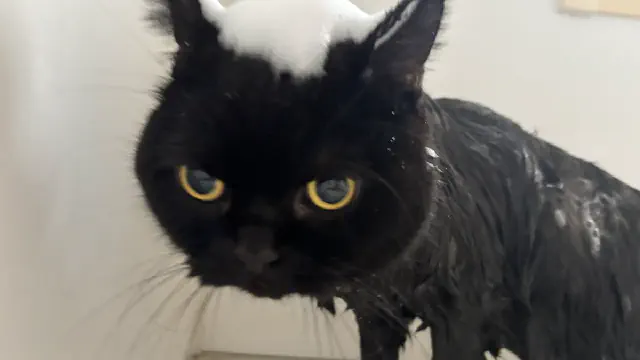 3月25日のトレンド記事