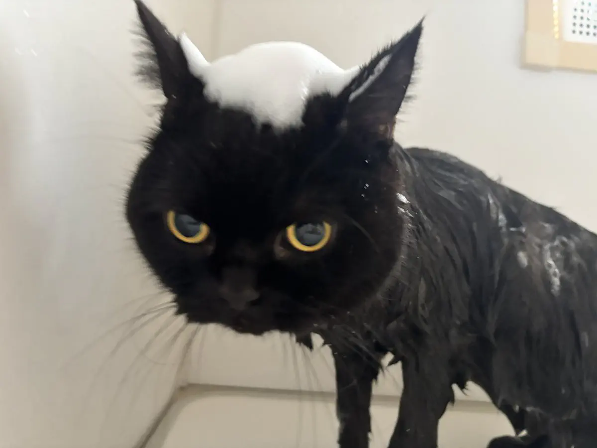 3月25日のトレンド記事