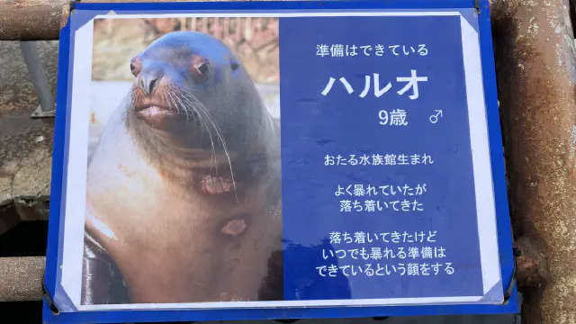 3月28日のトレンド記事