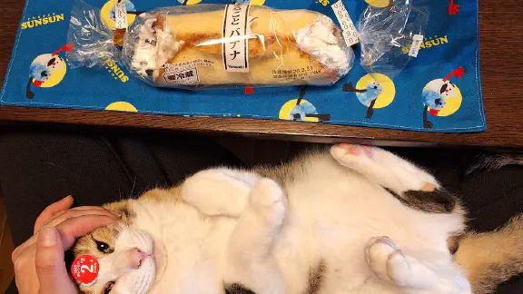 3月30日のトレンド記事