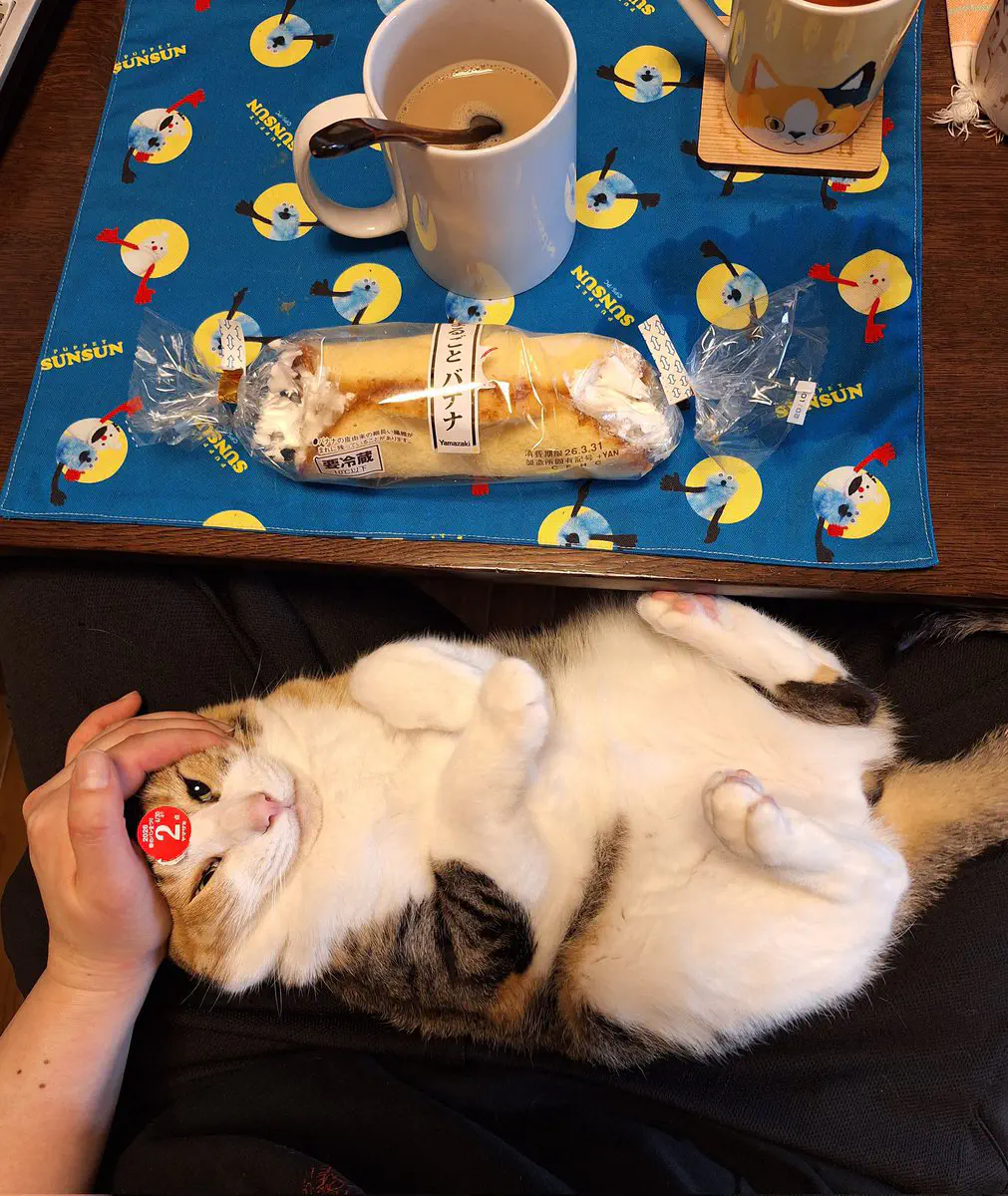 3月30日のトレンド記事