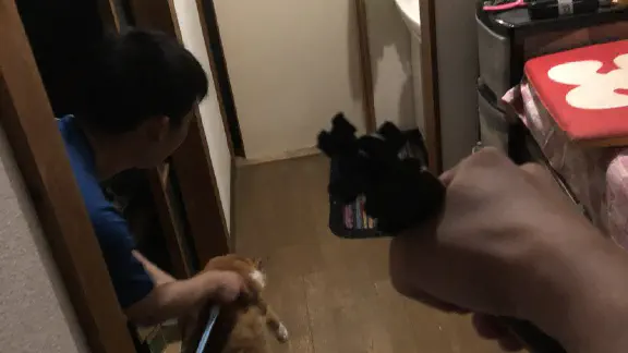 3月31日のトレンド記事