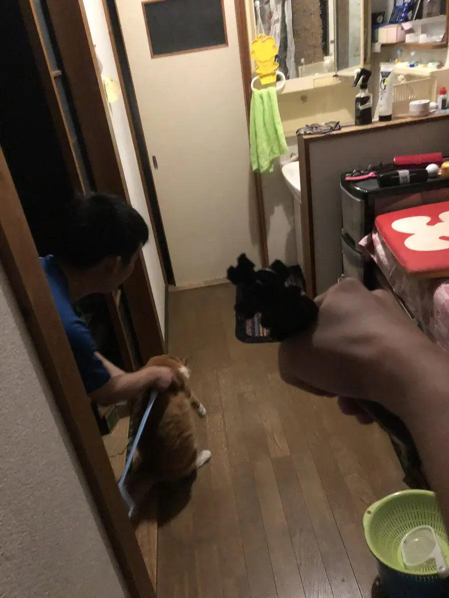 3月31日のトレンド記事