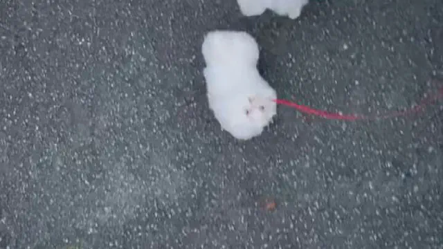 4月2日のトレンド記事