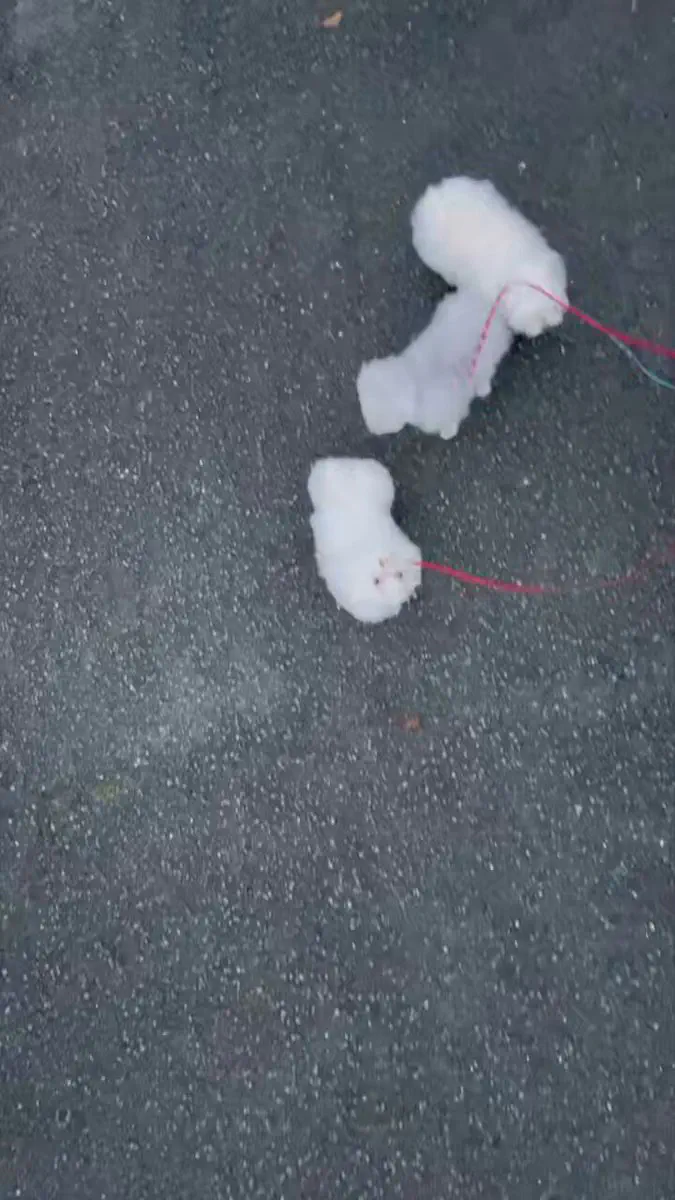 4月2日のトレンド記事