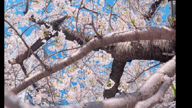 4月6日のトレンド記事