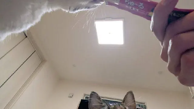 4月9日のトレンド記事