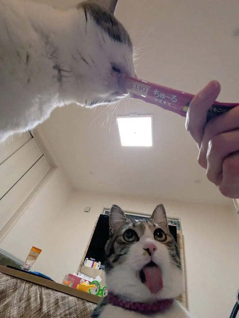 4月9日のトレンド記事