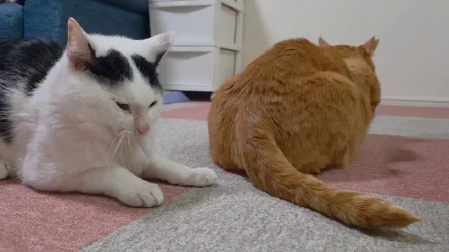 5月30日のトレンド記事