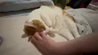 6月3日のトレンド記事