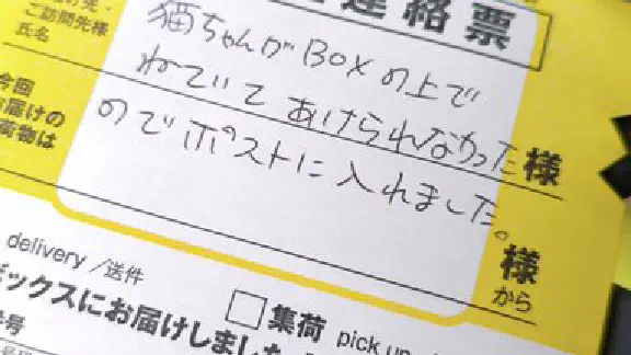 6月5日のトレンド記事