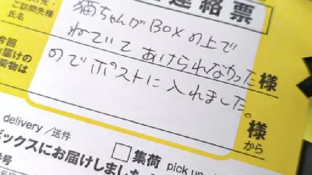 6月5日のトレンド記事