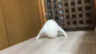 6月7日のトレンド記事
