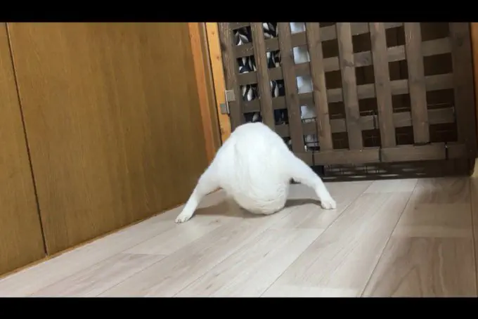 6月7日のトレンド記事