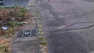 6月8日のトレンド記事
