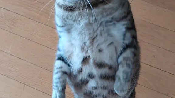 6月9日のトレンド記事