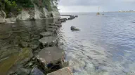 6月11日のトレンド記事