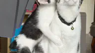 6月13日のトレンド記事
