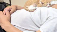 6月15日のトレンド記事