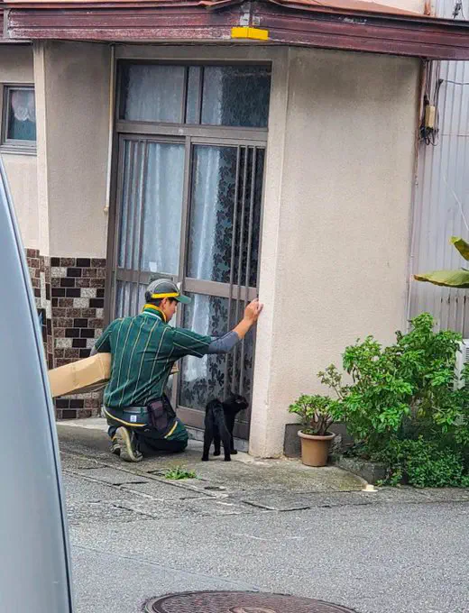 6月17日のトレンド記事