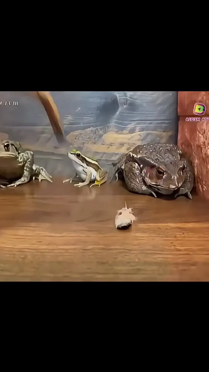 6月19日のトレンド記事