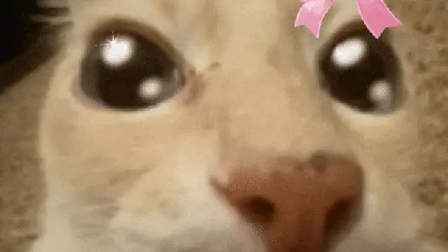 6月24日のトレンド記事
