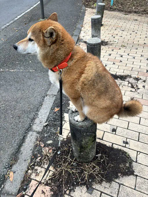 7月4日のトレンド記事