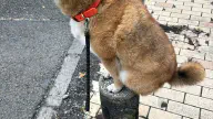 7月4日のトレンド記事