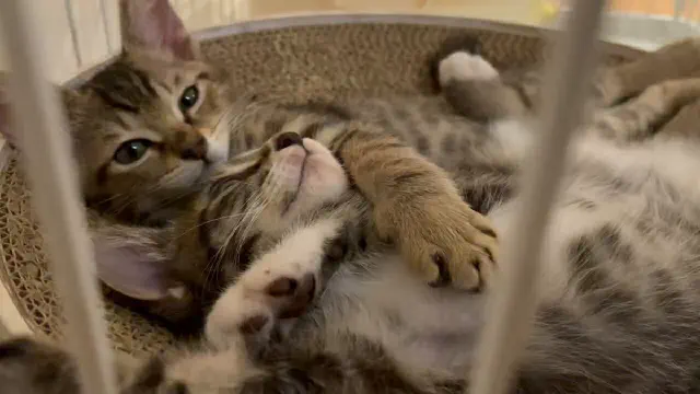 7月8日のトレンド記事
