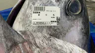 7月9日のトレンド記事