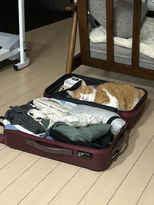 7月16日のトレンド記事