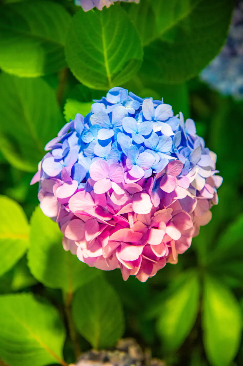 【2026年夏】夏・梅雨のバズツイートまとめ15選｜あるある＆絶景が満載